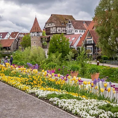 ゲストハウス Schlafzimmer 1 Mit Aussicht Ueber Weilstetten